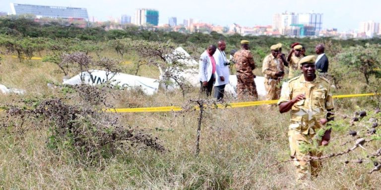 Two Survive Light Aircraft Crash in Nairobi National Park
