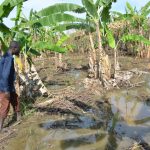 TotalEnergies’ Sustainable Claims Questioned Amid Environmental Backlash at COP29