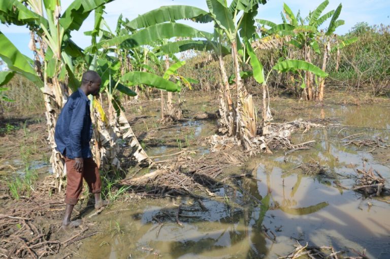 TotalEnergies’ Sustainable Claims Questioned Amid Environmental Backlash at COP29